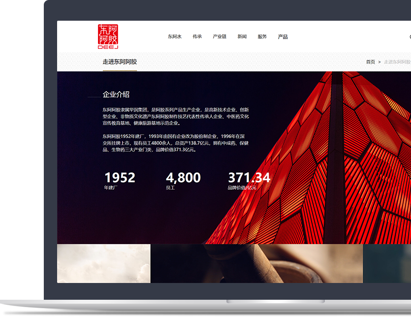 企業(yè)官方網(wǎng)站設(shè)計(jì)說明